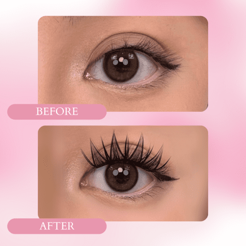 butterfly lashes before after transformation