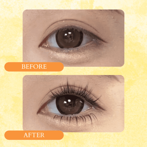 ninetynine dreams 120pcs sunflower lashes before after eye