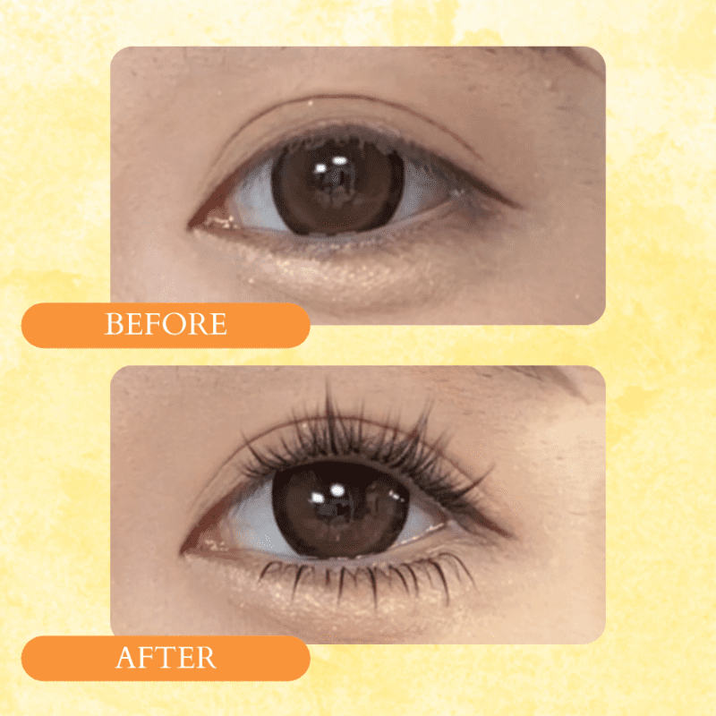 ninetynine dreams 120pcs sunflower lashes before after eye