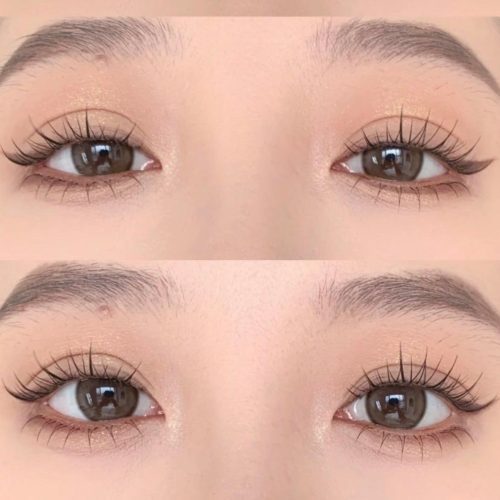 ninetynine dreams 5 pairs natural false lashes model