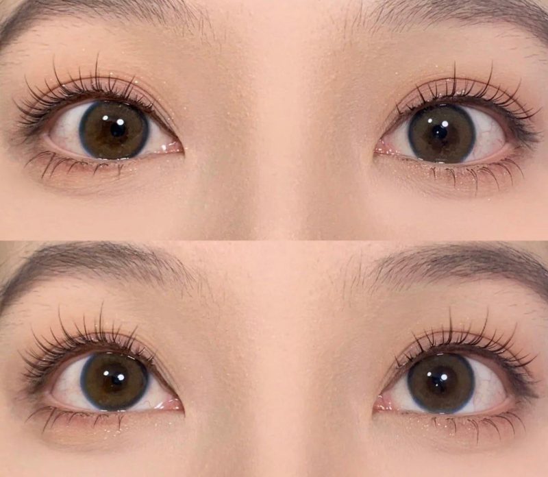 ninetynine dreams 5 pairs natural lashes model